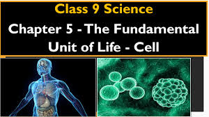 Three naturally existing isotopes of hydrogen are tritium, deuterium, and protium. The Fundamental Unit Of Life Class 9 Notes Summary Question Answer