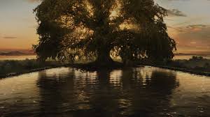 The Fountain – Darren Aronofsky pushes the buttons. (Film Review) | Lisa  Thatcher