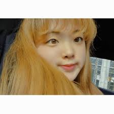 에버랜드 (withEverland)