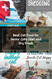Cat Care Tips Panosundaki Pin