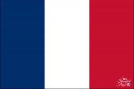 Click here to get your free copy now! Flag Of France Sales Buy Nylon Star Spangled Flags