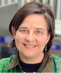 アフリカの新たなビジョン NEW VISIONS OF AFRICA