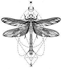They are visually stunning and you will get immediate interest by anyone who sees it. Dragonfly Wrist Tattoo Ideas Libelula Tatuagem Desenho Libelula Tatuagem De Libelula