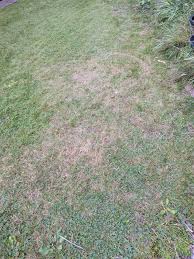 Image result for site:byggahus.se Algomin