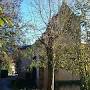 Profile Picture of THE BEST Things to Do in Inguanzo - 2024 (with Photos) - Tripadvisor (@tripadvisor.com) on Google