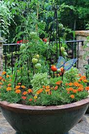 Cara mudah berkebun di rumah. Cara Dan Tips Berkebun Di Lahan Sempit Bibitbunga Com