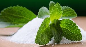El producto Stevia debe de ser llevado a un proceso de refinación para que la cantidad de consumo sea la correcta y no cause 