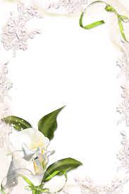 Gallery Recent Updates Calla Lily Easter Lily Paper Background Design