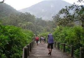 Image result for air terjun cibeureum