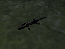 Shadow Of The Colossus Hd - Endangered Lizards Trophy Guide (1-12 Of 77  Shining Lizard Locations) - Youtube