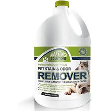 Bissell Professional Pet Stain And Odor Amaziing Solutions Pet Odor Eliminator And Stain Remover Carpet Cleaner For Dog Urine And Cat Pee P With Images Remove Pet Stains Pet Odor Eliminator Pet Odor Neutralizer