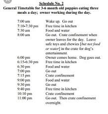Pin By Diane Marie On Puppy Stuff Training Your Puppy
