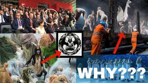 Orchestrated by german director volker hesse, performance included several. Download Weird Possibly Satanic Opening Ceremony For Gotthard Base Tunnel In Switzerland Reaction Daily Movies Hub