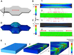 Maybe you would like to learn more about one of these? Mechanical Stress Initiates And Sustains The Morphogenesis Of Wavy Leaf Epidermal Cells Sciencedirect