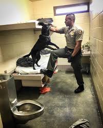 A ventura county inmate search provides detailed information about a current or former inmate in ventura county, california. Ventura County Sheriff S Office Deputy Turner Assists With A Search For Narcotics With K 9 Zoey At The Todd Road Jail Random Cell Searches Are Frequently Conducted To Ensure The Safety And