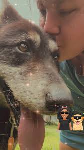 Grief and support for loss of a beloved pet