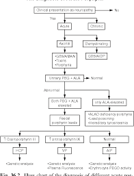 figure 36 2 from porphyric neuropathy semantic scholar