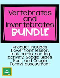 What are some examples of animals? Vertebrates And Invertebrates Powerpoint Ks1
