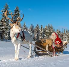 Rudolph is santa's famous ninth reindeer. Santa Claus Reindeer Sleigh Ride At Ritavaara In Pello In Lapland Reindeer And Sleigh Santa Claus Reindeer Sleigh Ride