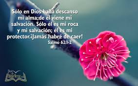Pin On Bo Ruach Elohym