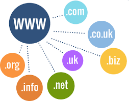 ثبت دامنه Com و Net و Org خرید دامنه بین المللی ارزان Domain Registration Hosting Company Technology Timeline
