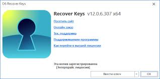 Recover Keys Enterprise 12.0.6.307 + ключ для защиты ключей активации программ