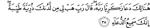  these letters are one of the miracles of the qur'ân, and none but allâh ( alone ) knows their meanings . Surat Ali Imran 3 38 39 The Noble Qur An Ø§Ù„Ù‚Ø±Ø¢Ù† Ø§Ù„ÙƒØ±ÙŠÙ…