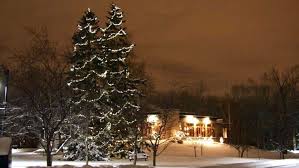 We did not find results for: Types Of Christmas Lights Installations Assiniboine Lights Landscapes