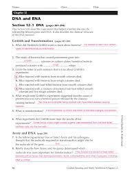 Performed series of tests to find out if transforming principle was dna or protein b. Http Cooksbiology Weebly Com Uploads 5 0 7 6 5076749 Ch 12 Dna And Rna Study Workbook Answers Pdf