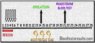 Normal Progesterone Levels After Ovulation Day 21