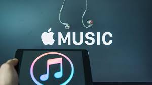 Natural Homemade Detangler 3 Ingredients Bristol Motor Speedway Sonoma Raceway Nascar Racing