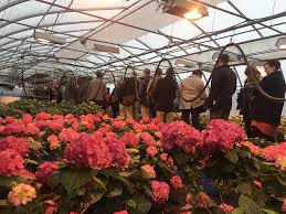 Class X, Seminar 3, Day 3, St. Paul