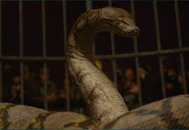 Nagini | Official Harry Potter Encyclopedia