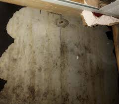Growth occurs when there is moisture from water damage, water leaks, condensation, water infiltration, or flooding. How To Get Rid Of And Prevent Mold Growth On Concrete Environix