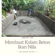 Kolam ikan koi buatan sendiri kolam ini saya buat atas dasar sepengetahuan saya sendiri sahabat kolam koi #kolam ikan #kolam ikan sederhana melihat pemandangan kolam ikan. Fakta Budidaya Ikan Nila Kolam Beton Untuk Pemula