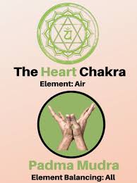 The shakti mudra · 3. 7 Mudras For Chakras Balancing Fitsri