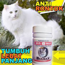 We did not find results for: Bm12 Vitamin Bulu Rontok Kucing Pemanjang Bulu Kucing Lebat Bulmax Lazada Indonesia