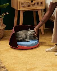 Cat Person Food Goods For Cats And The Persons Who Love Them In 2020 Cat Person Cats Cat Sneezing