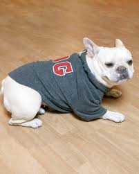 Most sewers are familiar with the big four pattern companies (butterick, mccall's, vogue, & simplicity), but there are many independent pattern designers out there, and you'll. Sewing Pattern For French Bulldog Coat