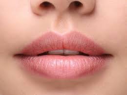 Origin Of Philtrum The Indentation Above The Upper Lip Word Histories While it serves no purpose in life, scientists have known as the philtrum, it's the place where the various sections of our faces join like pieces of a. indentation above the upper lip
