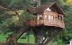 Modern Tree House