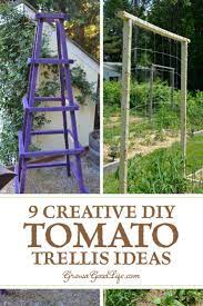 9 Diy Tomato Trellis Ideas For Healthy Tomatoes Tomato Plants Will Grow Healthier And Produce A Bigger Yiel Tomato Trellis Tomato Plants Support Tomato Plants