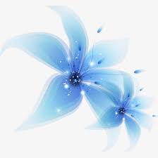Light Blue Flowers Blue Blue Flowers Flowers Png Image Blue Flower Png Light Blue Flowers Blue Flowers