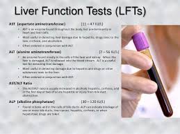 Image result for Liver Function Test