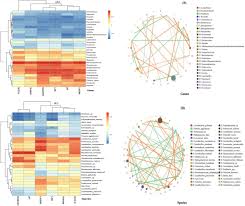 Exploring The Microbial Community Structure And Metabolic Gene Clusters During Silage Fermentation Of Paper Mulberry And Developing The High Protein Woody Plant As Ruminant Feed Biorxiv