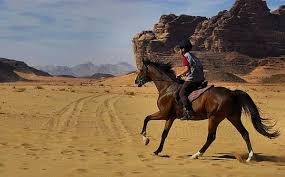 Riding a camel is an altogether different and enjoyable experience. Adventurous Holidays In Jordan