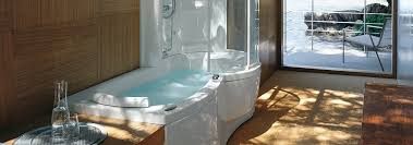 10 best tub shower combo reviews. Jacuzzi Bath Shower Bathroom Glass Door