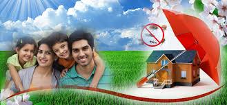 The array of industrial pest control that we offer is surprisingly effective on the pests. Chennai Pest Control