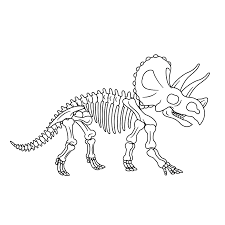 Leuk Voor Kids Fossielen En Dino Skeletten 0005 Skeleton Drawings Dinosaur Projects Dinosaur Activities