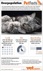 Pet Overpopulation Facts Visual Ly Pets Dog Infographic Cat Adoption